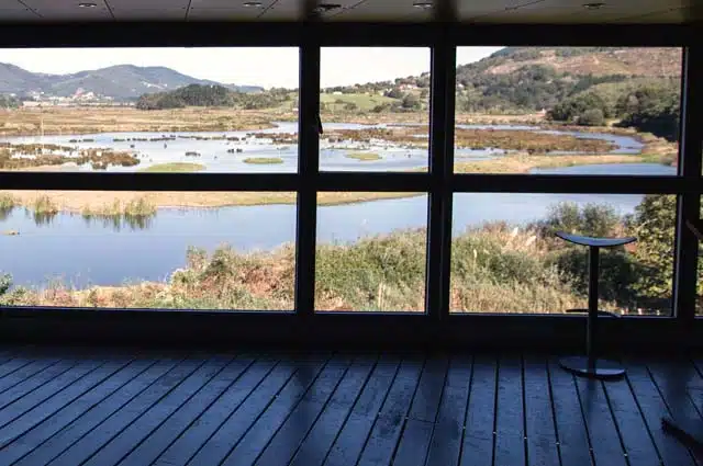 Observar las aves en Urdaibai Bird Center